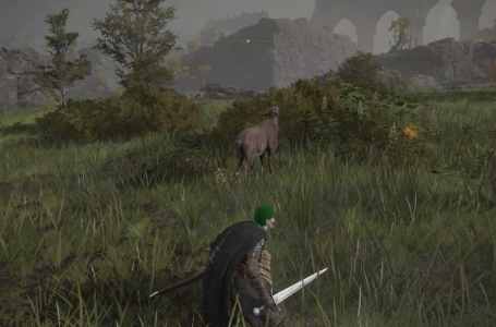  Where to find Beast Liver in Elden Ring – and what it does 