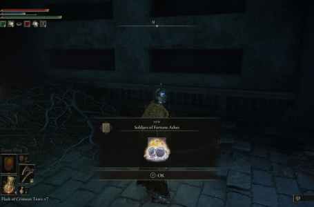  Where to find the Soldjars of Fortune Ashes in Elden Ring 