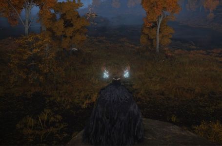  How to get the Concealing Veil in Elden Ring 