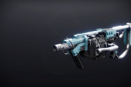  Destiny 2 Tarnation God Roll Guide – PvP and PvE 