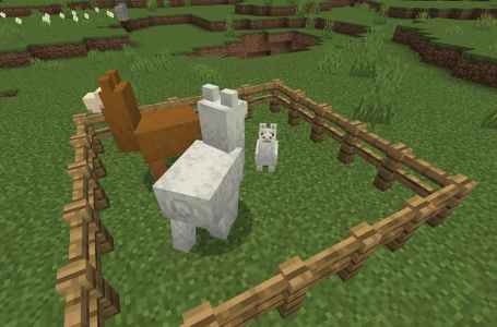  How to breed llamas in Minecraft 