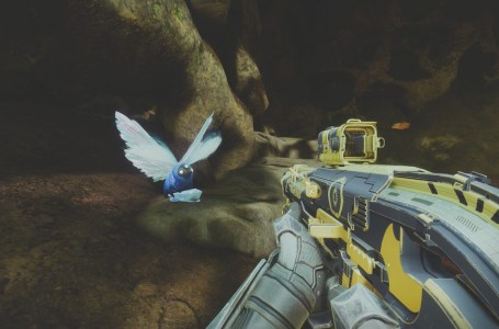  How to complete the Rippling Wings seasonal challenge in Destiny 2 