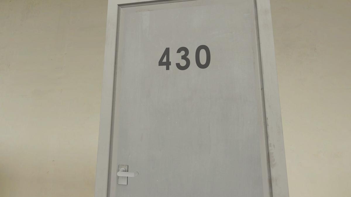 Door 430