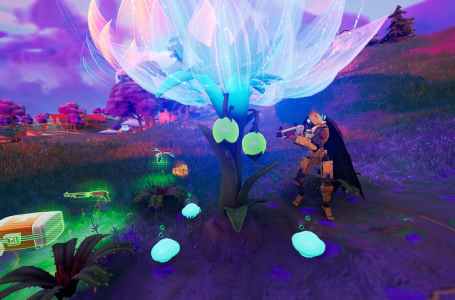  How to plant a Reality Seed at Sunflower’s Saplings or Fungi Farm in Fortnite Chapter 3 Season 3 