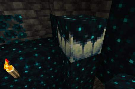  What does a Sculk Catalyst do in Minecraft? 