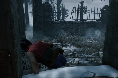  What does Endurance mean in Dead by Daylight? DBD Endurance, explained 