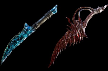  The Best Early Game Daggers to Use in Elden Ring 