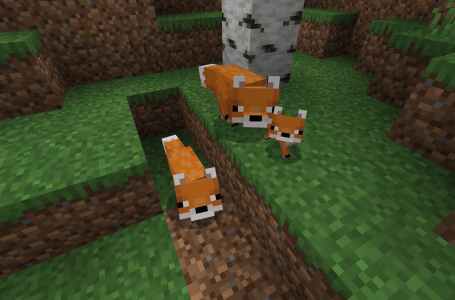  What do Foxes eat in Minecraft? Answered 