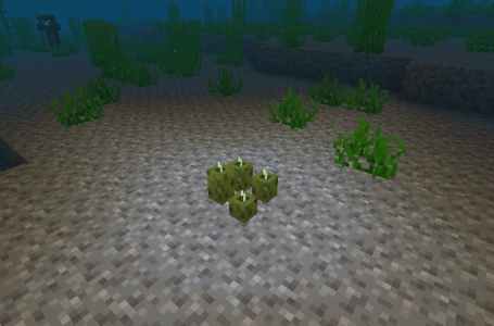  What are Sea Pickles for in Minecraft, and what do they do? 