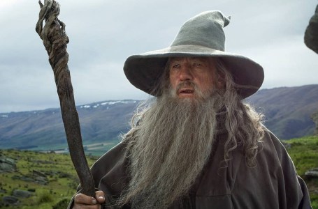  MultiVersus leaker claims Gandalf, Harry Potter characters are being delayed indefinitely or cancelled 