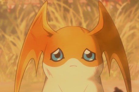  Should you treat the injury for Biyomon, Patamon, and Palmon in Digimon Survive? 