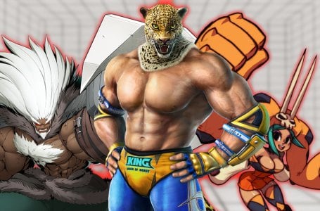  The 10 best grapplers in fighting games, ranked 