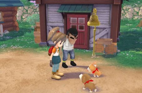  Is there same-sex marriage in Story of Seasons A Wonderful Life? Answered 