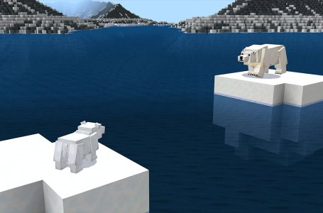  The 10 best Minecraft Ocean biome seeds 