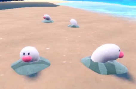  Tentacool and Tentacruel go for a nice leisurely… walk?! in Pokémon Scarlet and Violet leaks 