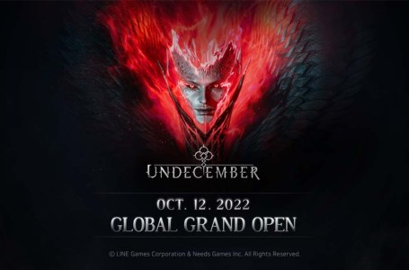  New hardcore ARPG Undecember slashes onto PC and mobile today 