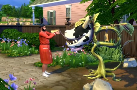  Every The Sims 4 Expansion Pack Ranked: From Get To Work to Horse Ranch 