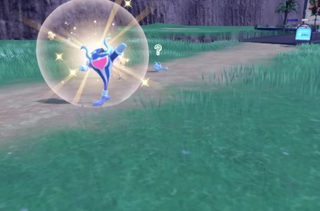  How to transform Palafin into Hero form in Pokémon Scarlet and Violet 