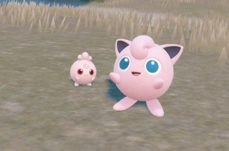  Where to find Igglybuff and Jigglypuff in Pokémon Scarlet and Violet 