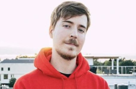  Popular streamer MrBeast asks to be new Twitter CEO, Elon says “it’s not out of the question” 