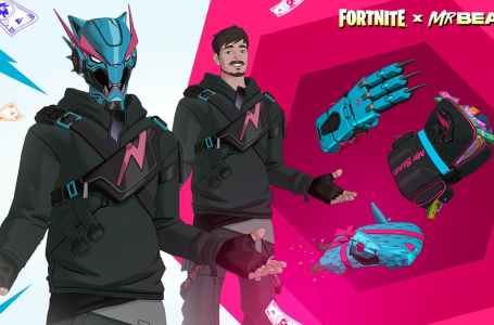  Who won Mr. Beast’s Extreme Survival Tournament in Fortnite? 