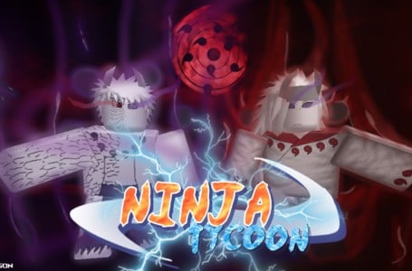  Roblox Ninja Tycoon Codes (January 2023) 