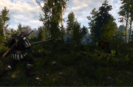  How to survive Death March difficulty in The Witcher 3: Wild Hunt 