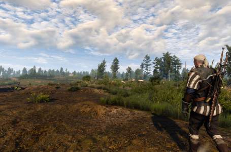  Where to find Arenaria in The Witcher 3: Wild Hunt 