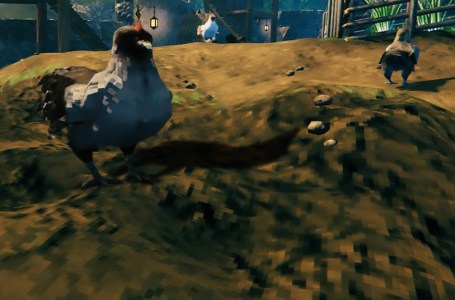  How to get and raise chickens in Valheim 