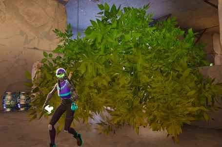  How to hide in different bushes you threw down in Fortnite Chapter 4 Season 1 