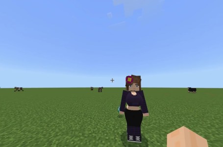  How to set up the Minecraft Jenny mod 