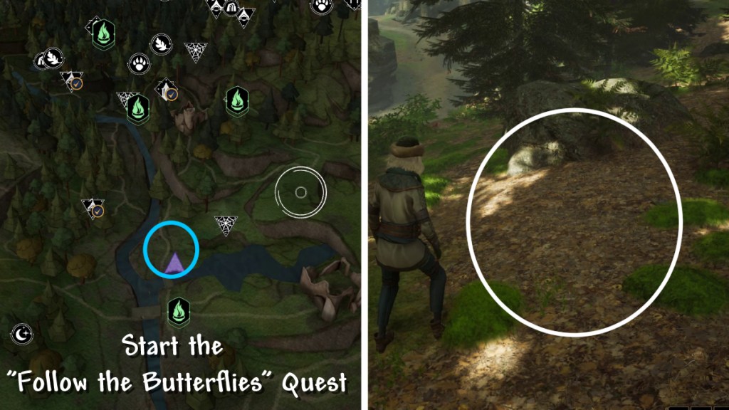 Butterfly location 15 in Hogwarts Legacy