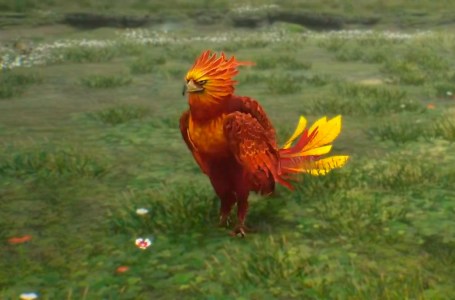  Where to find Phoenixes in Hogwarts Legacy 