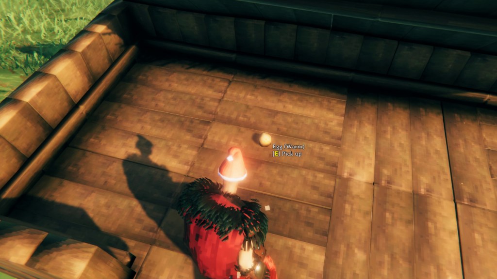 Egg is Warm in Valheim