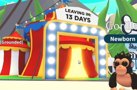  Gorilla Fairground event in Adopt Me – all pets and how to get 