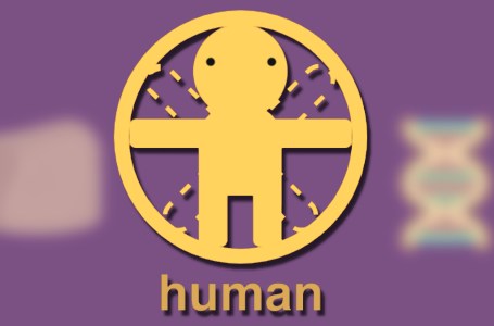  How to make human in Little Alchemy 2 