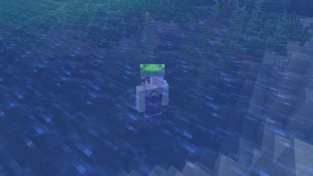 Swimming underwater in Minecraft