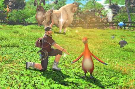  Where to find Apkallu of Paradise in Final Fantasy XIV 