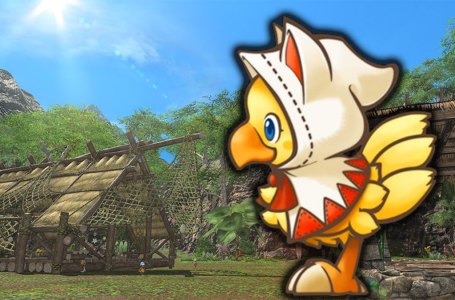  Final Fantasy Fan Builds Heartwarming Chocobo Costume For A Special White Mage 