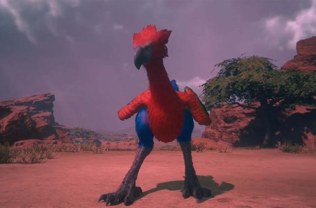  Final Fantasy 16 – Dread Comet Chocobo Location & How To Defeat It 
