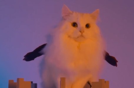  Final Fantasy 16 Ad Casts Cats As Ifrit & Phoenix 