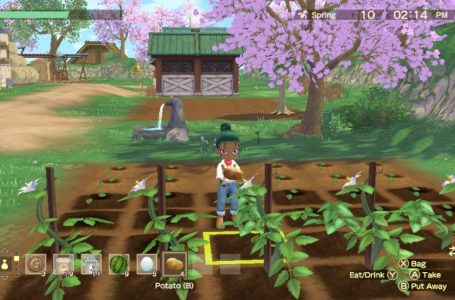  Story of Seasons: A Wonderful Life Remake Basic Farming Guide – Seeds, Fields & Hybrids 