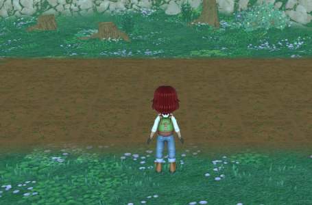  Story of Seasons: A Wonderful Life Most Profitable Crops 