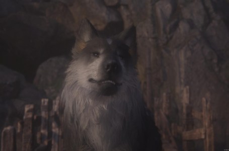  Final Fantasy 16 Achievement Encourages Players To Pet The Dog 