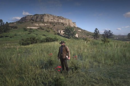  Red Dead Redemption 2: Yarrow Location in RDR2 