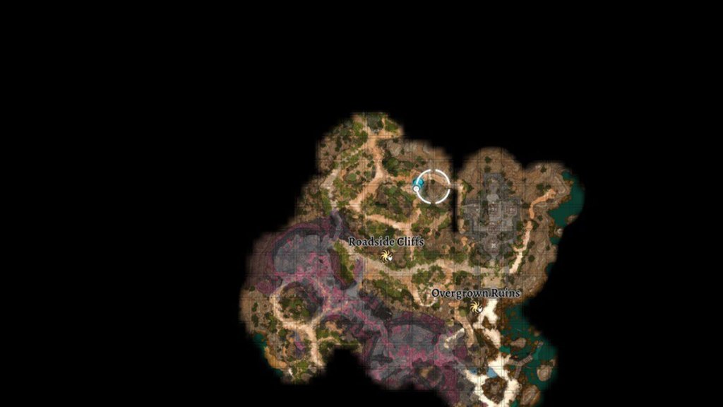 BG3 screenshot of Lae'zel's location above the roadside cliffs on the map.