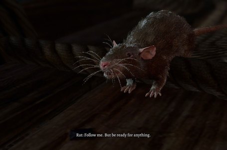  Baldur’s Gate 3: How to Help Pandirna & Get the Rat’s Treasure in BG3 