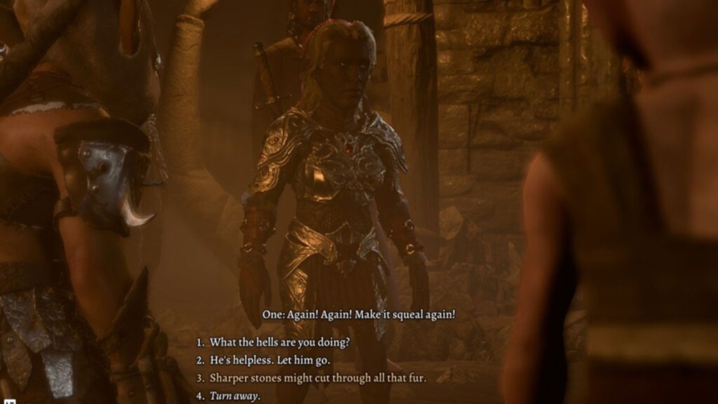 bg3 screenshot of the player character choosing to throw stones at halsin
