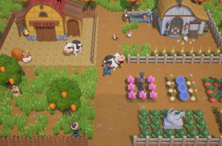  Coral Island Full Release Date, DLC, Updates & Mechanics 