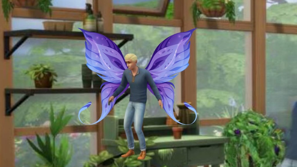 Fairy Sim